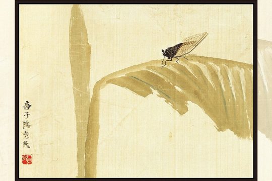ki baishi